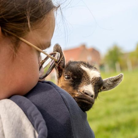 Logements Insolites A La Ferme - Yourte, Kota Ou Pod Farbus Buitenkant foto